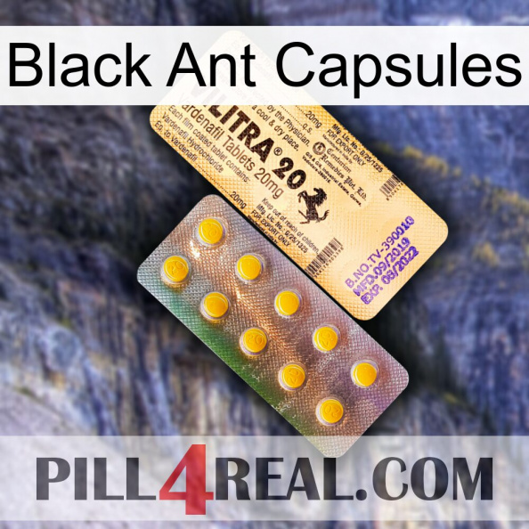Black Ant Capsules new06